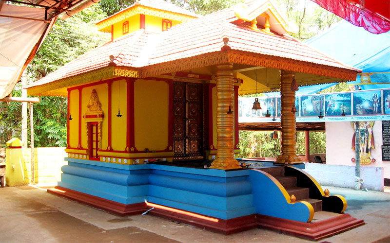 gallery13