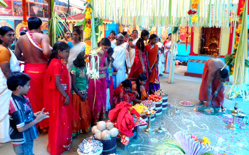 gallery9