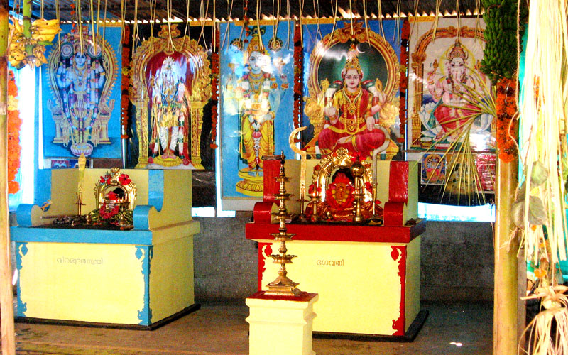 gallery9